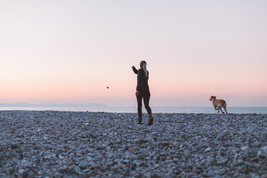Hempooch Hemp Seed Oil for Pets: A Natural Way to Support Your Dog’s Health