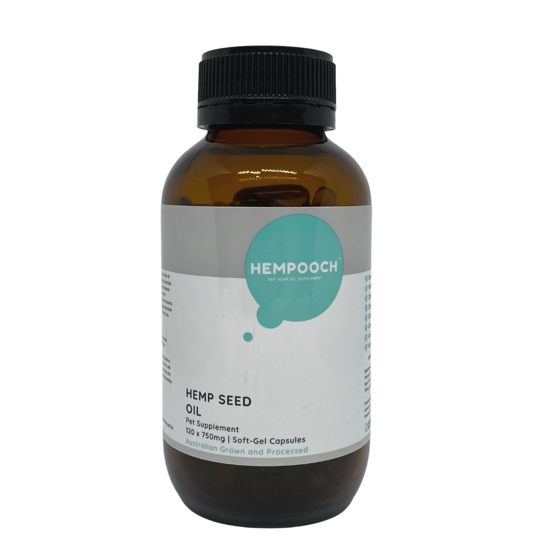 Hemp Seed Oil Capsules Hempooch Hempooch